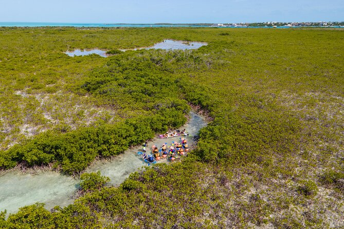 2 Hours Clear Kayaking Activity on Mangrove Cay - Key Takeaways Before You Paddle