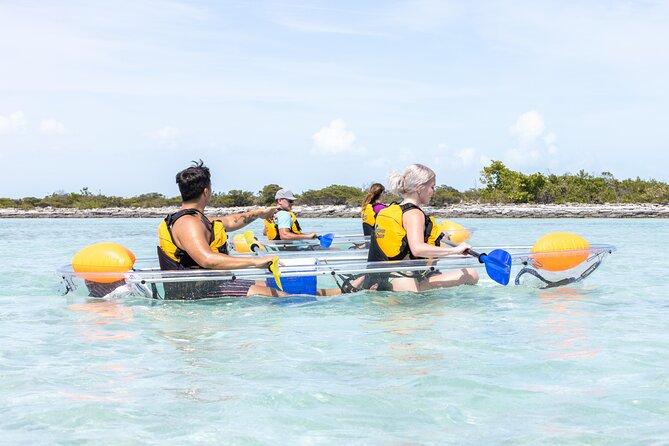 2 Hours Clear Kayaking Activity on Mangrove Cay - Mangrove Cay Kayaking, What Makes It Worth Your Time