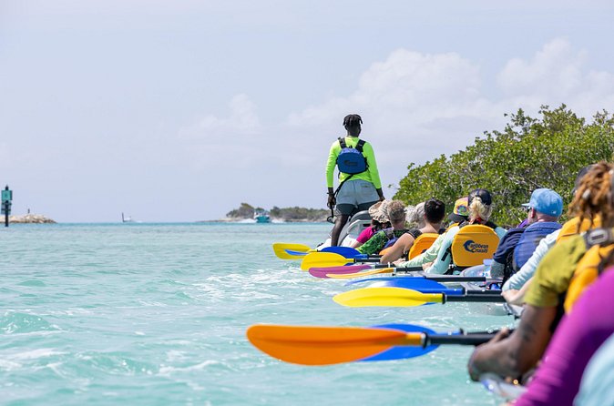 2 Hours Clear Kayaking Activity on Mangrove Cay - Kayak Setup, Group Size, and Your Safety Comfort
