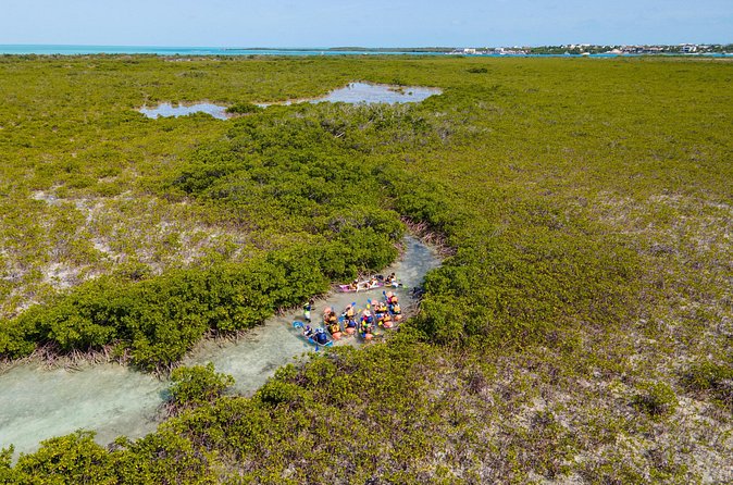 2 Hours Clear Kayaking Activity on Mangrove Cay - Included Gear and What You Still Need to Bring
