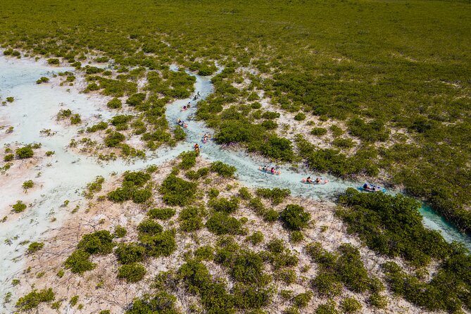 2 Hours Clear Kayaking Activity on Mangrove Cay - What the 2-Hour Kayak Route Feels Like