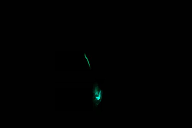 3 hour Glow Worm Sunset Cruise from Providenciales - Glow Worm Sunset Cruise from Providenciales: The real reason to go