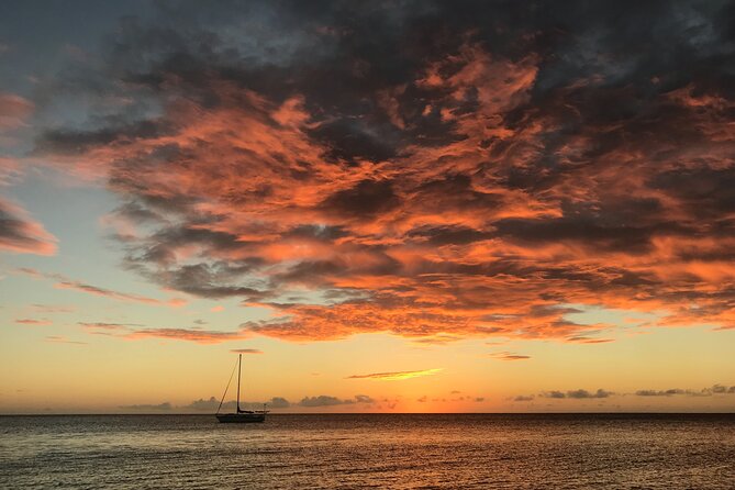 3 hour Glow Worm Sunset Cruise from Providenciales - The glow worm show: what you’re watching and why photos disappoint