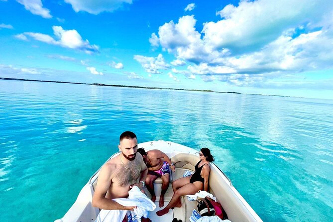 3 Hours Private Charter Tour Turks and Caicos - Stop 1: Little Water Cay (Iguana Island) for a quick wildlife fix