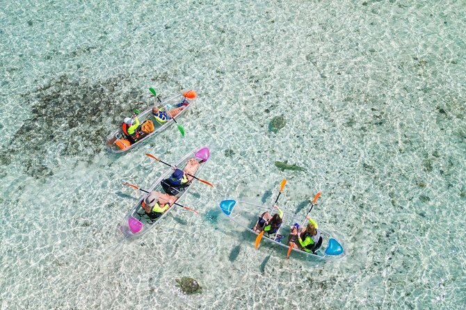 3HR Clear Kayak Mangrove and iguana island Tour in Leeward - Getting to Leeward and finding Caribbean Cruisin fast