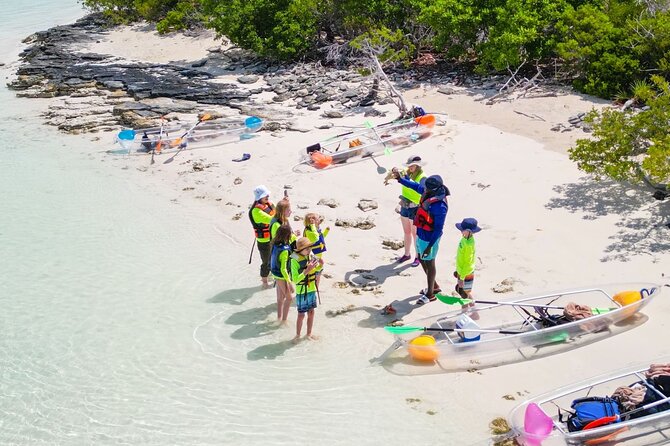 3HR Clear Kayak Mangrove and iguana island Tour in Leeward - Clear-bottom mangrove time at Mangrove Cay: what you’re really seeing