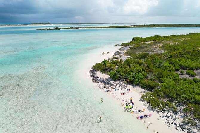 3HR Clear Kayak Mangrove and iguana island Tour in Leeward - Marine life you can plan around (and what is not guaranteed)