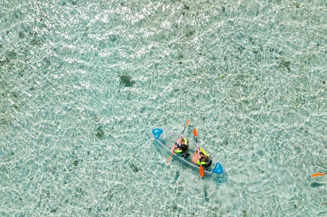 3HR Clear Kayak Mangrove and iguana island Tour in Leeward - What your guide does well: spotting, safety, and keeping you moving