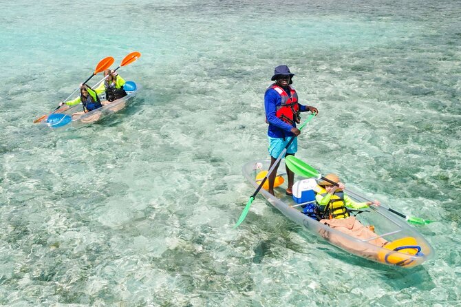 3HR Clear Kayak Mangrove and iguana island Tour in Leeward - Iguana Island at Little Water Cay: seeing rock iguanas up close