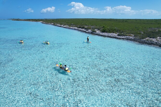 3hr Clear Kayak Tour of Mangroves, Marine Life and Iguanas - Clear Kayaking Through Mangroves, Wildlife First