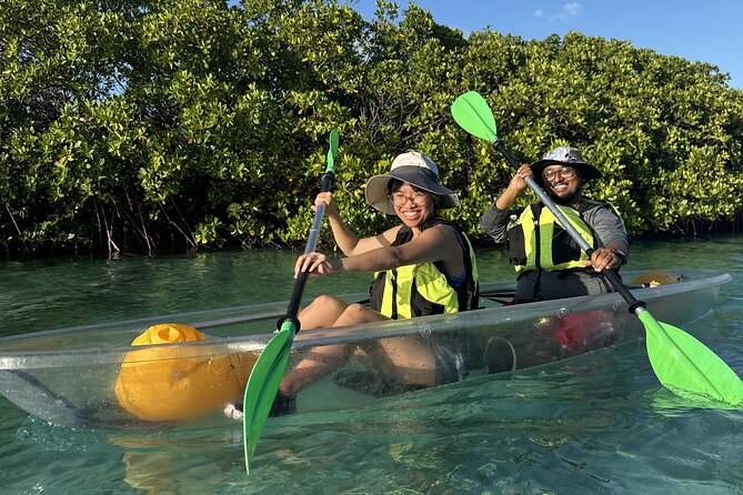 3hr Clear Kayak Tour of Mangroves, Marine Life and Iguanas - Guides, Small Groups, and How You Stay Together