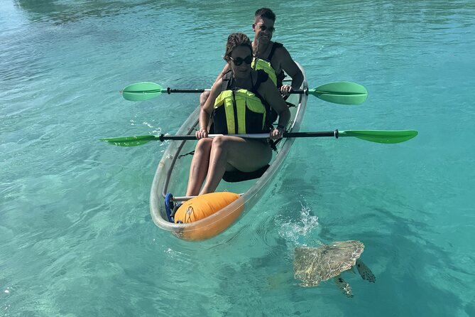 3hr Clear Kayak Tour of Mangroves, Marine Life and Iguanas - What’s Included, What You Should Bring, and What It Means