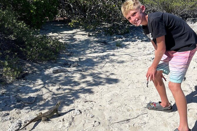 3hr Clear Kayak Tour of Mangroves, Marine Life and Iguanas - Price and Value: Is $134.40 Worth It?
