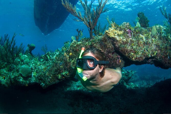 3HR Emerald reef snorkeling, iguana island and shipwreck tour - Key reasons this 3-hour tour makes sense