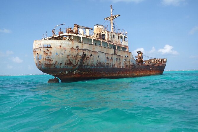 3HR Emerald reef snorkeling, iguana island and shipwreck tour - Emerald Reef snorkeling: clear water and coral you will actually enjoy