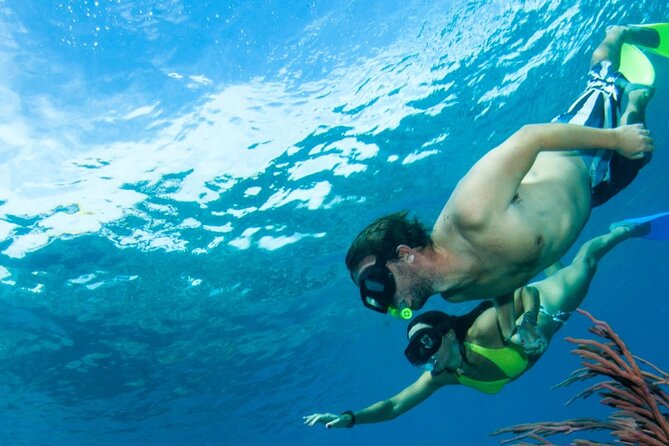 3HR Emerald reef snorkeling, iguana island and shipwreck tour - Who should book this tour, and who should think twice