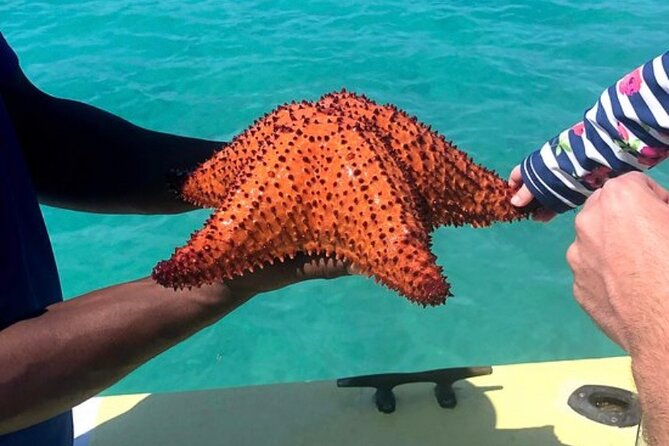 3hr Seaside Scavenger hunt - Snorkeling Gear Included, Plus What to Bring So You Don’t Regret It