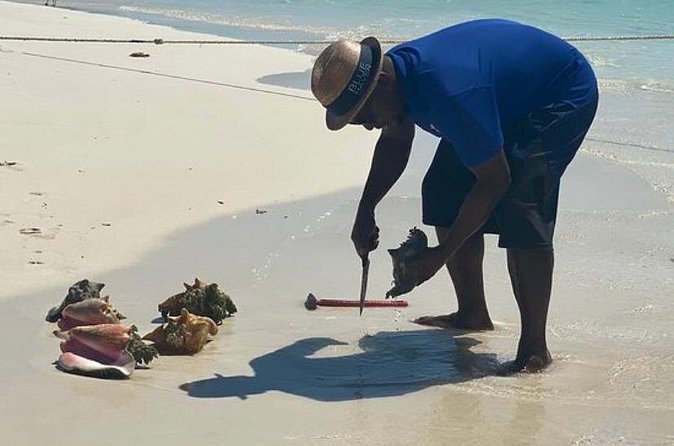 3hr Seaside Scavenger hunt - Iguana Island Time: Swimming, Exploring, and a Break From the Hunt