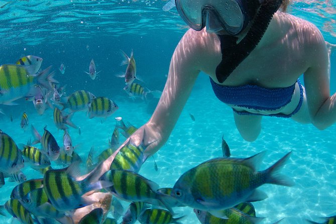 4-Hour Catamaran Sail and Snorkel Tour from Grace Bay - Stop choices: Half Moon Bay vs Little Water Cay (and why it changes)