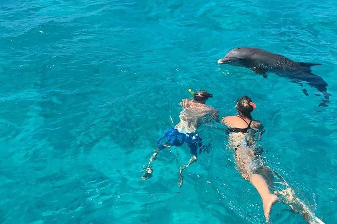 4-Hour Catamaran Sail and Snorkel Tour from Grace Bay - The return to Grace Bay: lunch, drinks, and dolphin-watching vibes