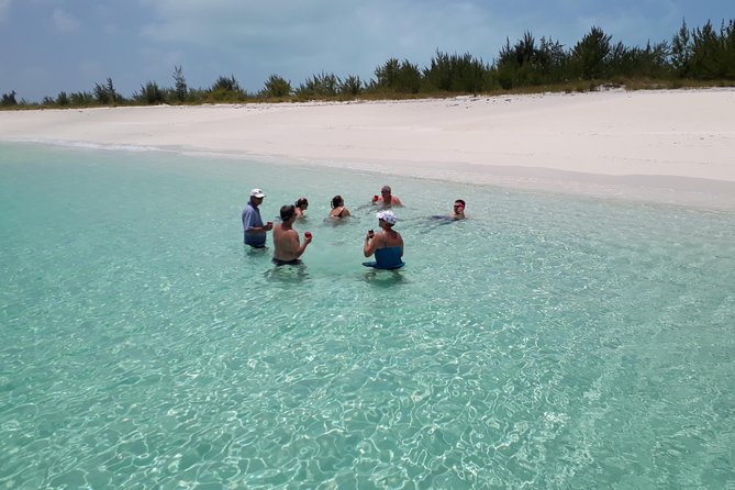 4 Hour Private Catamaran Sail and Snorkel from Grace Bay Beach, Providenciales - Captain’s Coral Spot: Snorkel Formations and Wildlife Spottings