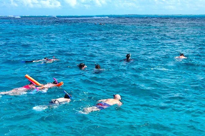 4hour Group Half Day Snorkeling Excursion in Grace Bay - The smartest way to fit snorkeling into a Turks and Caicos vacation
