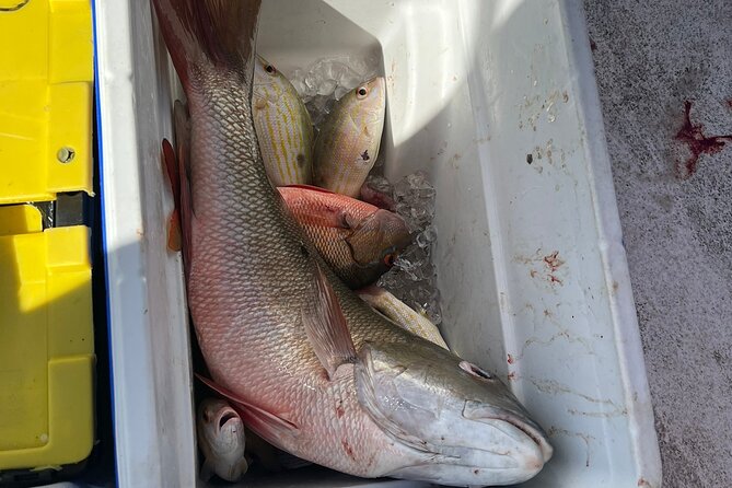 4HR-Halfday Private Fishing Tour in Gracebay - 8:30 AM Start: Why the Timing Works