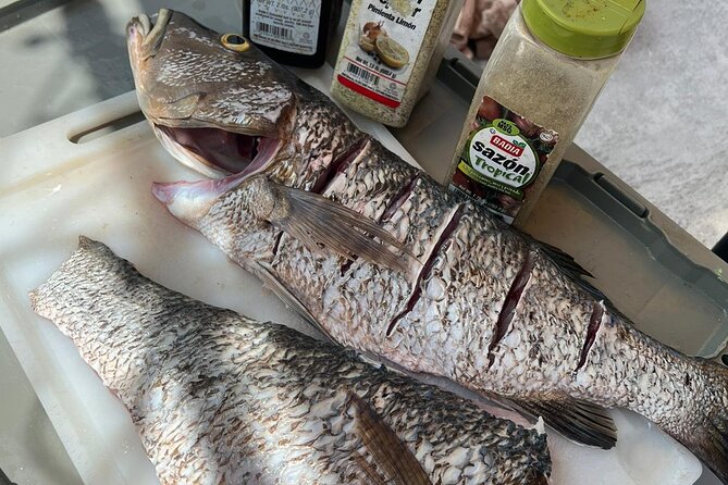 4HR-Halfday Private Fishing Tour in Gracebay - On-Board Comfort: Snacks, Drinks, and Wi-Fi