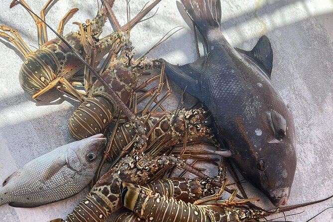 4HR-Halfday Private Fishing Tour in Gracebay - Reliability Reality Check: Mechanical Issues Can Happen