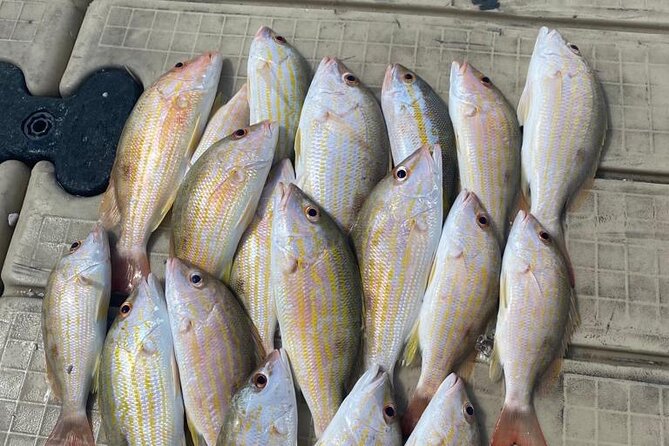 4HR-Halfday Private Fishing Tour in Gracebay - What You Get for the Money, and What You Don’t