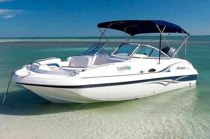 4HR Private bottom Fishing Charter with lunch - Pickup and Scheduling That Help You Actually Enjoy the Day