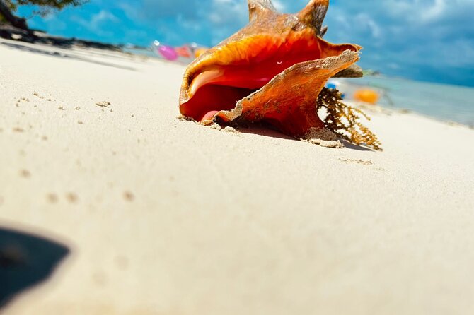 4HR Private Half-day Boat in Gracebay - Snorkeling setup, lunch, and beer, all handled for you