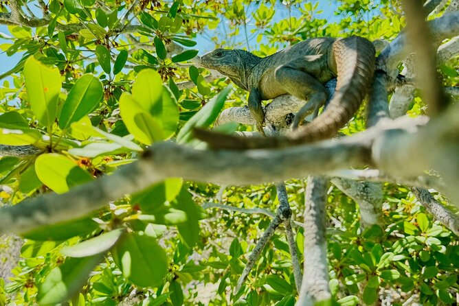 4HR Private Half-day Boat in Gracebay - Your 4 hours on the water: what the day actually feels like