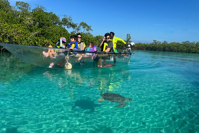 6-Passenger Motorized Clear Kayak Mangrove Tour in Providenciales - Key highlights before you go