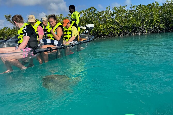 6-Passenger Motorized Clear Kayak Mangrove Tour in Providenciales - What the 6-passenger private setup changes for your day