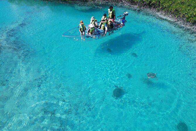 6-Passenger Motorized Clear Kayak Mangrove Tour in Providenciales - The guide, photos on request, and how to get the best viewing