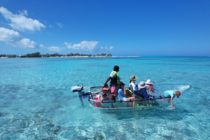 6-Passenger Motorized Clear Kayak Mangrove Tour in Providenciales - Electric quiet cruising in mangrove channels, what it feels like