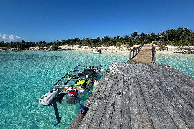 6-Passenger Motorized Clear Kayak Mangrove Tour in Providenciales - Wildlife viewing odds: turtles, lemon sharks, stingrays, and conch