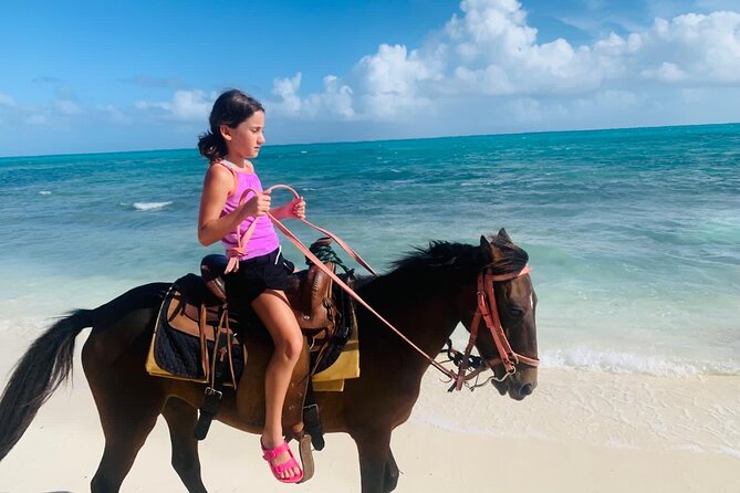 60-Minute Private Horseback Riding Experience in Turks and Caicos - Transportation, Water, and What Is Included in the Price