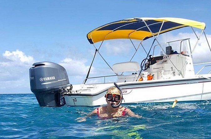 6HR-Private Provo Cays Exploration with Lunch - Stop 2: Little Water Cay and rock iguanas
