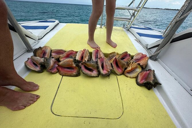 6HR-Provo Cays exploration with Lunch in Gracebay - Beach BBQ lunch in Grace Bay, with alcoholic drinks and the sides people love