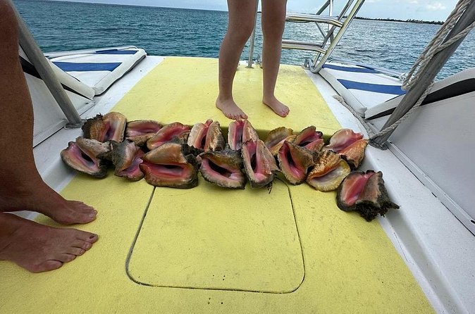 6HR-Provo Cays exploration with Lunch in Gracebay - Price and logistics, what $234.80 really buys you