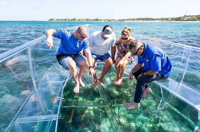 75 Minutes Clear Boat Tour in Caicos Island - Who This Tour Fits Best (And Who Might Skip It)