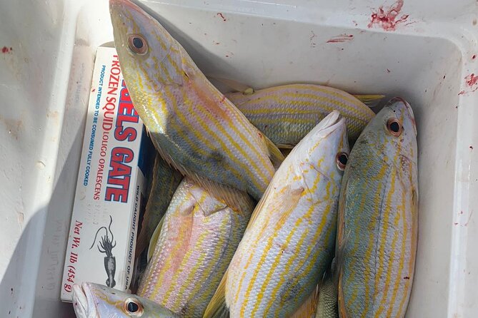 8HR Catch and Grill in Turks and Caicos Islands - Entering the water near Providenciales, La Famille Express, and Fort George Cay