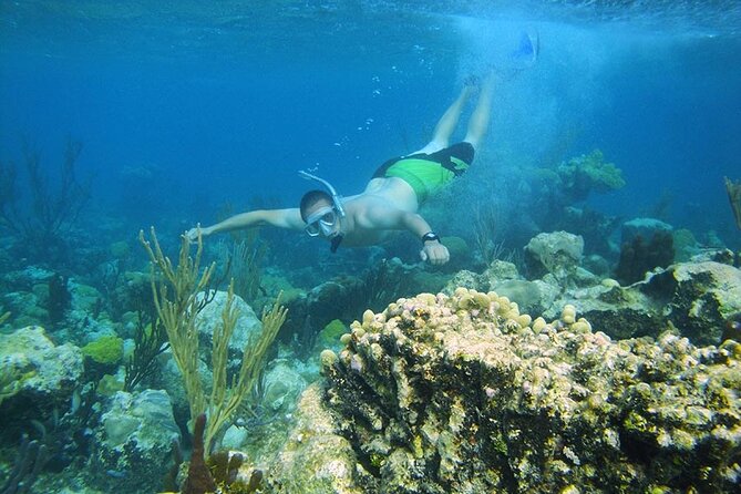 8HR Fullday Private Boat in Gracebay - Stop 3: Little Water Cay and Iguana Island rock iguanas