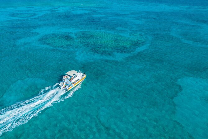 Afternoon Half Day Cruise from Providenciales with Snorkeling and Iguana Island - Key Points Before You Go