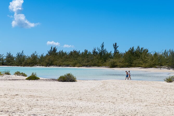 Afternoon Half Day Cruise from Providenciales with Snorkeling and Iguana Island - The Boat Slide and Jump-Off Platform: The Fun Break You’ll Remember