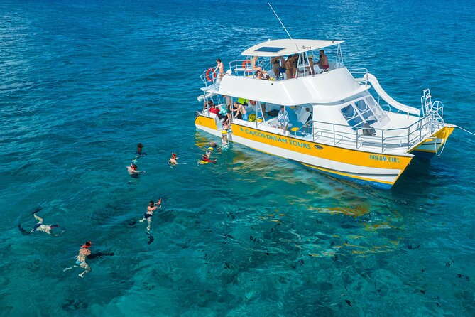 Afternoon Half Day Cruise from Providenciales with Snorkeling and Iguana Island - Food, Rum Punch, and Timing You Should Plan Around