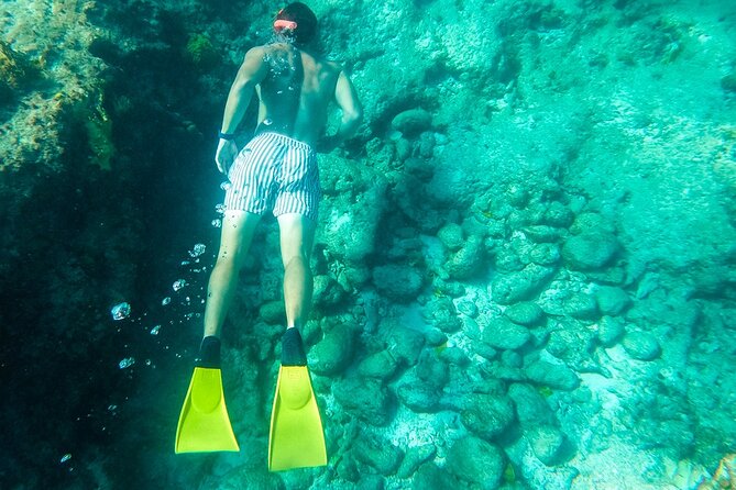 All Day Adventure with a Beach BBQ Feast from Providenciales - Leeward Reef Snorkeling: Your First Water-Time Hit