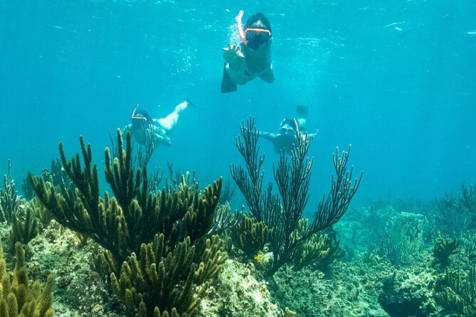 All Day Adventure with a Beach BBQ Feast from Providenciales - The Deserted-Island BBQ Feast: Where the Day Winds Down